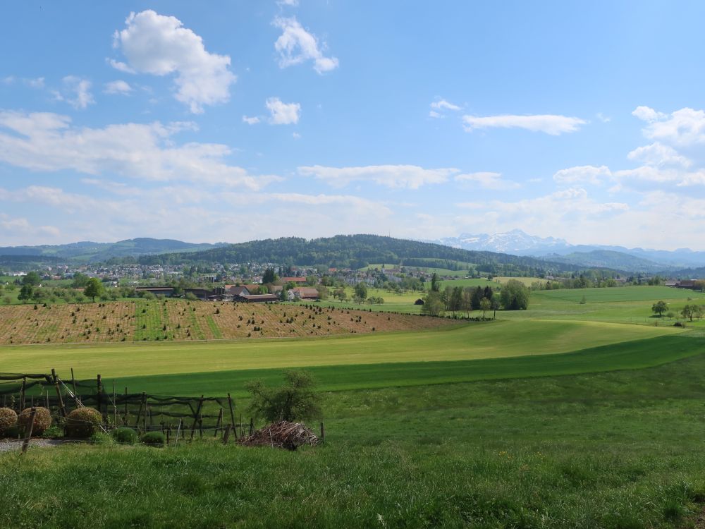 Wittenbach mit Bruggwald und Säntis