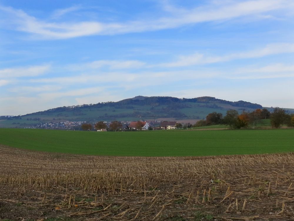 Blick Richtung Riedheim