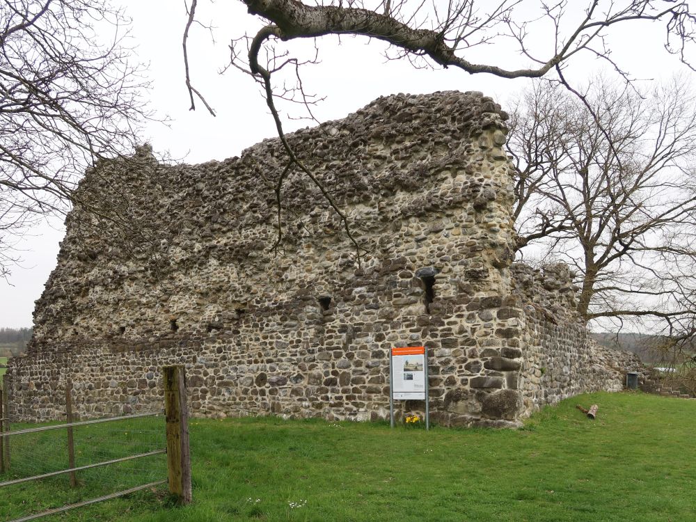Ruine Helfenberg