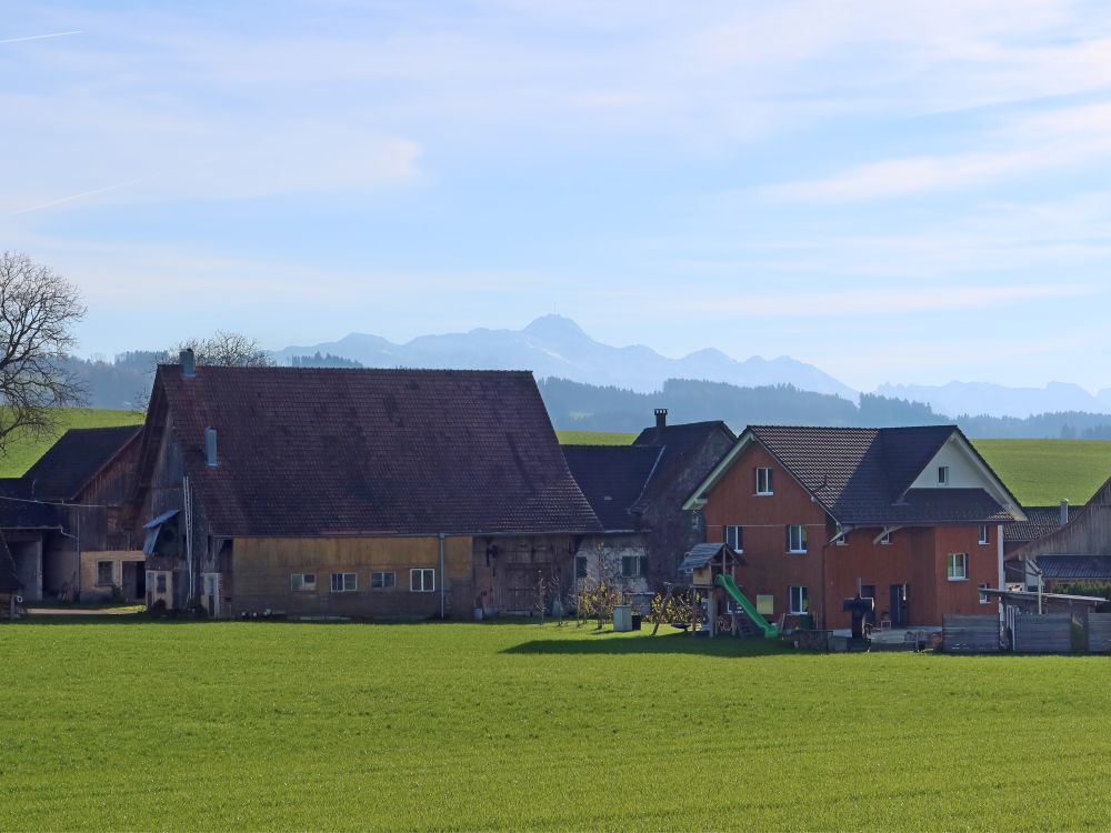 Säntis über Störshirten