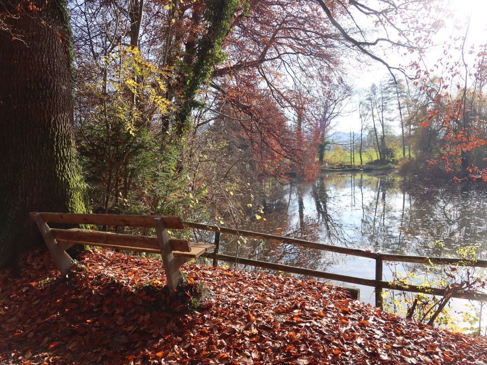 Sitzbank am Hasenbergweier