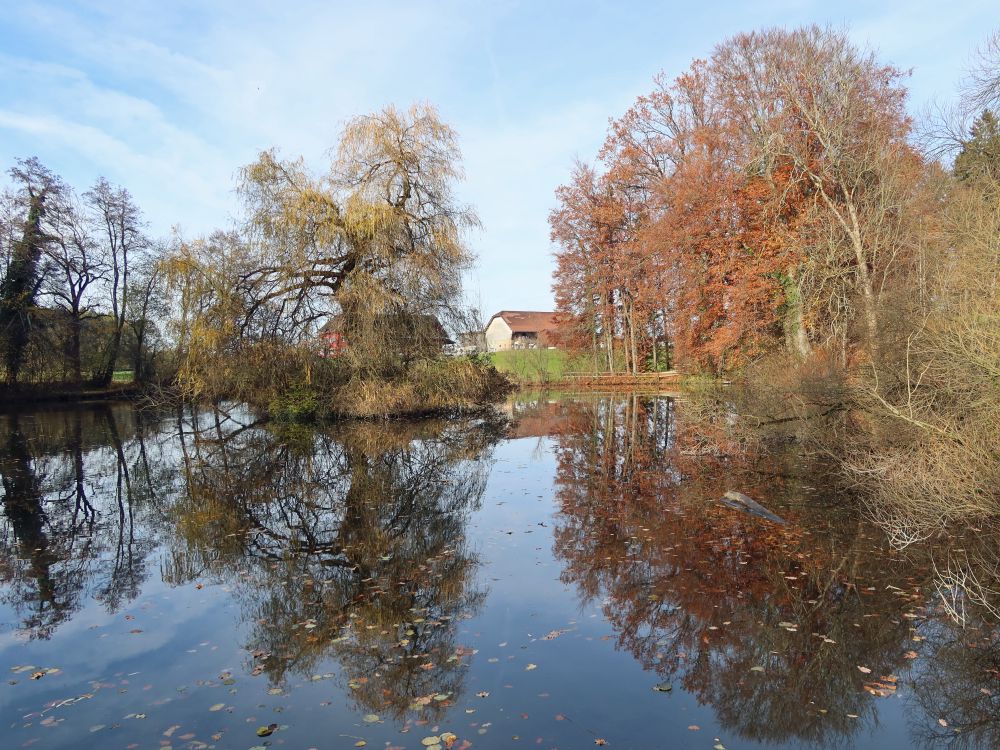 Spiegelung im Hasenbergweier