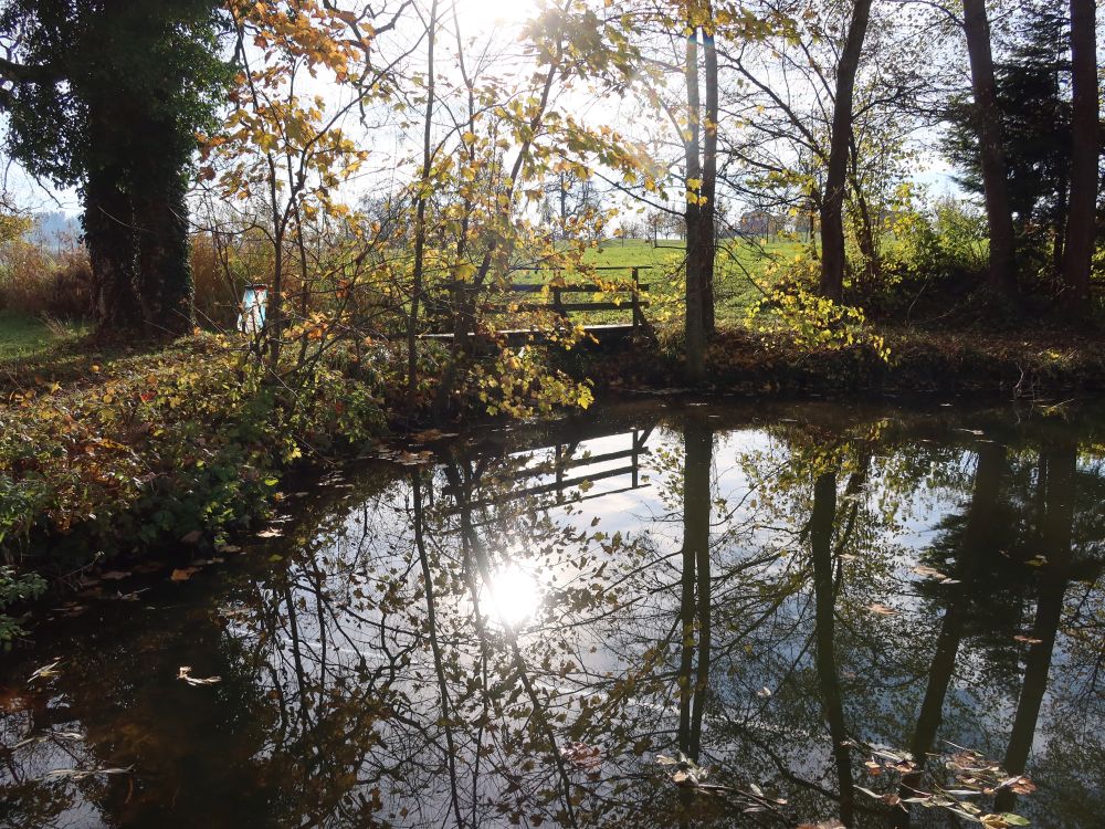 Spiegelung im Hasenbergweier
