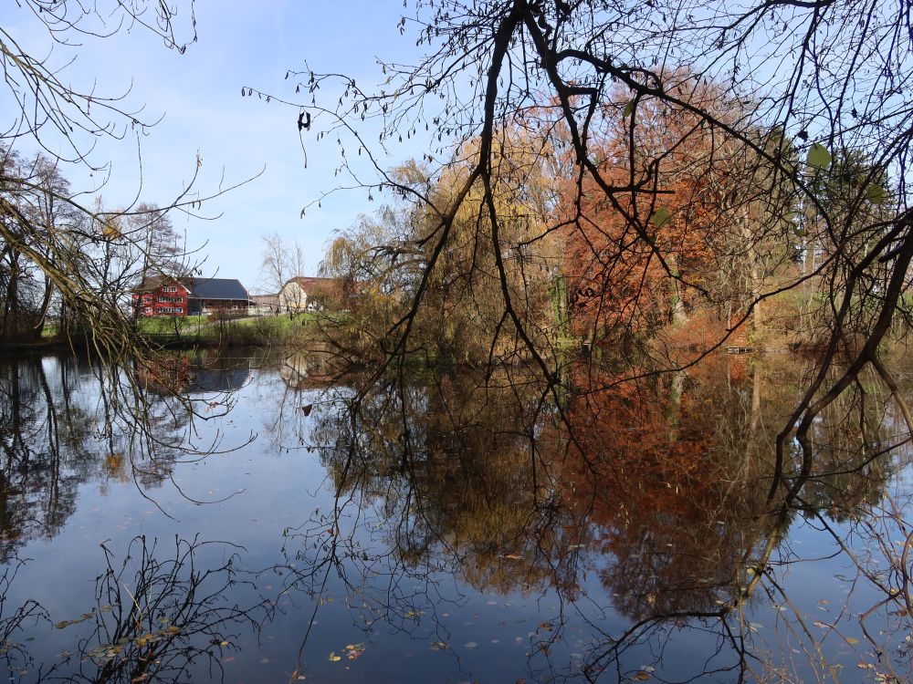 Hasenbergweier mit Hof Weier