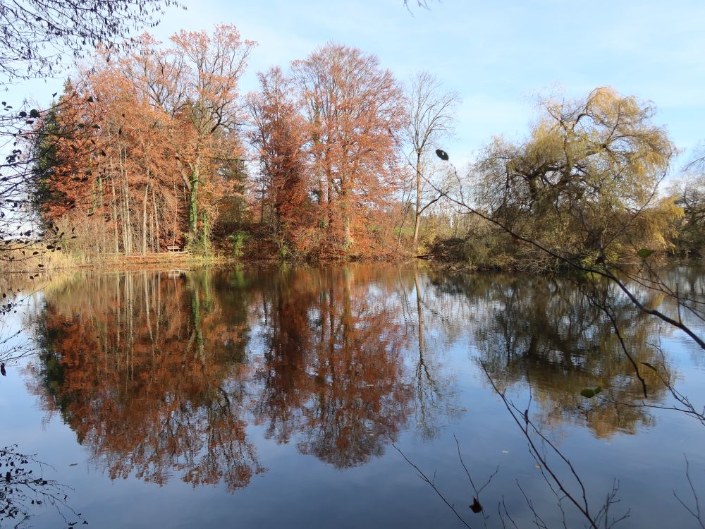 Spiegelung im Hasenbergweier