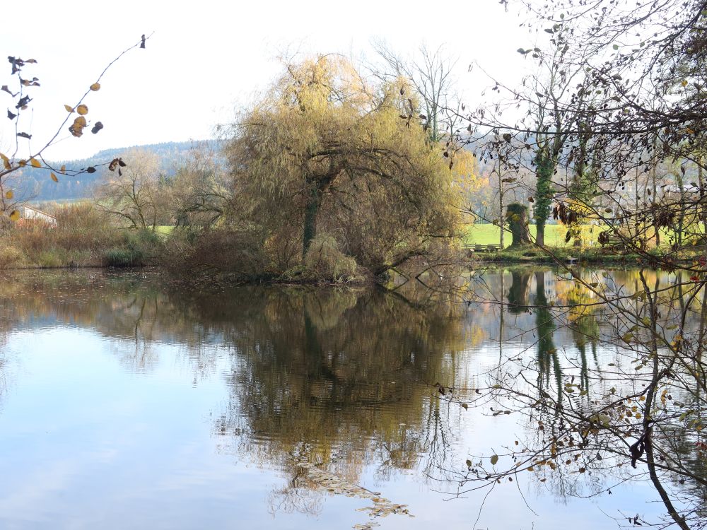 Spiegelung im Hasenbergweier