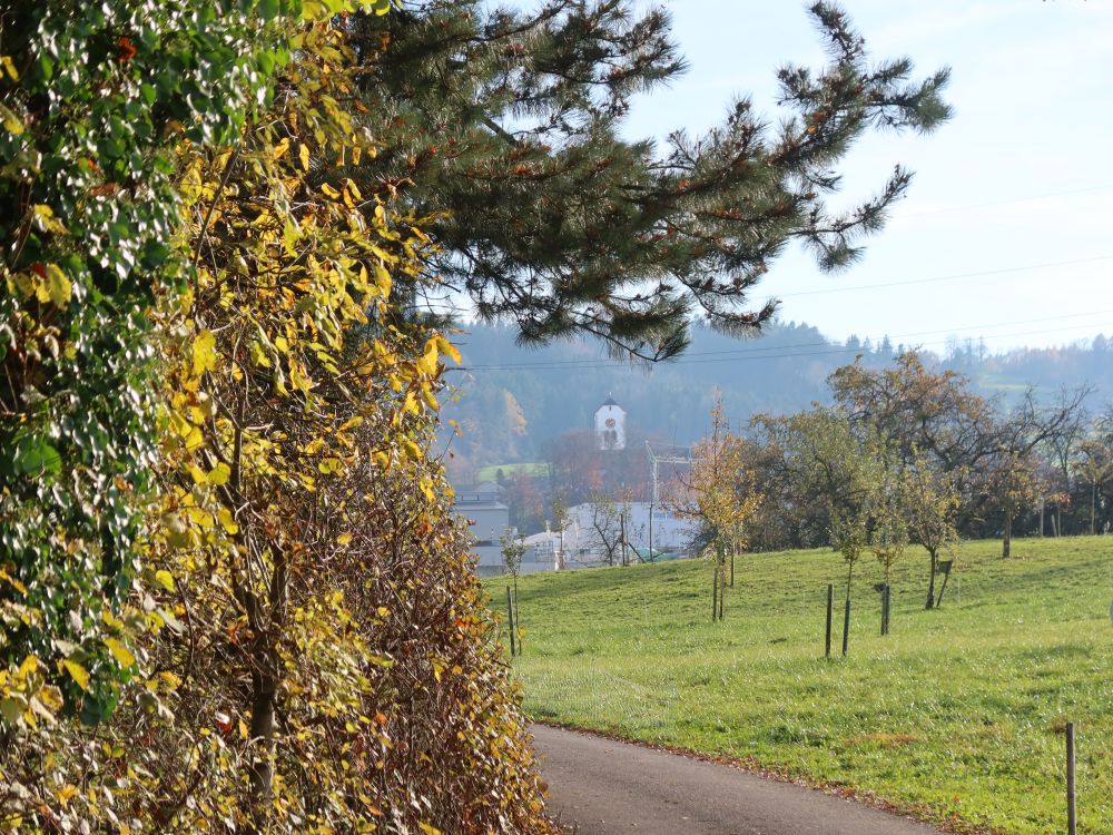 Kirche von Waldkirch