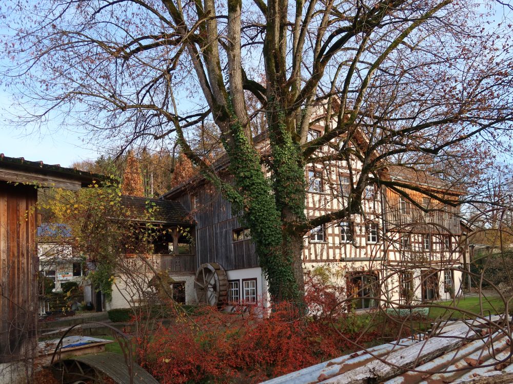 Fachwerkhaus am Sagiweg