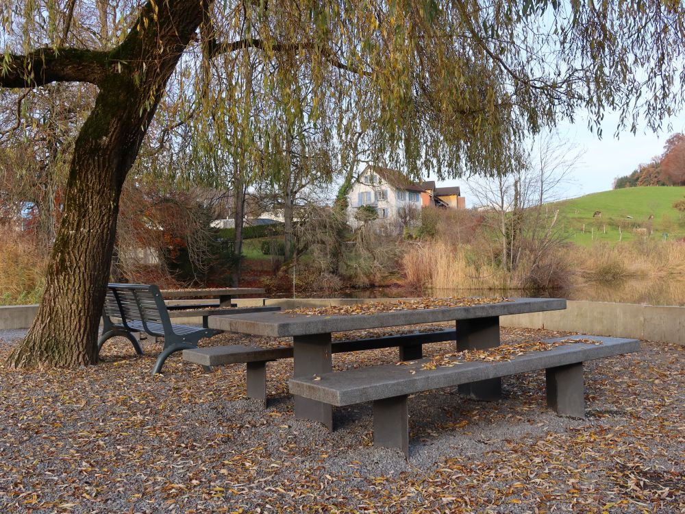 Sitzgruppe unter Trauerweide