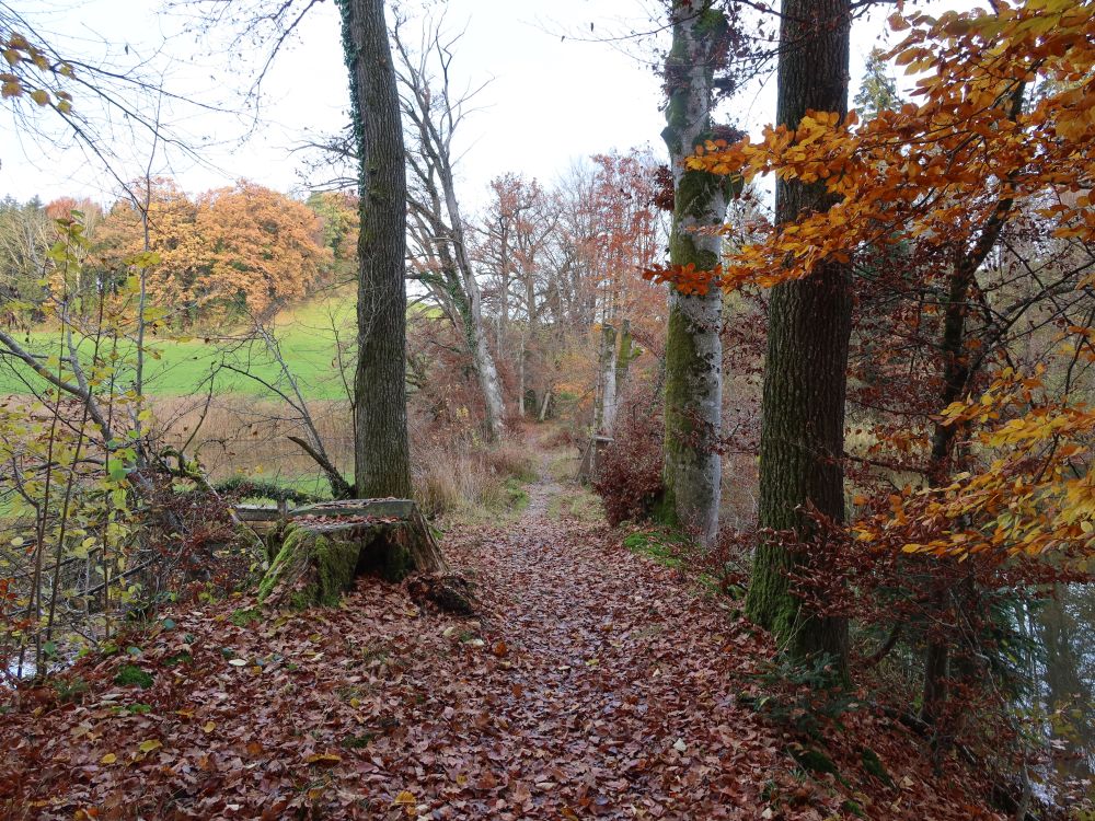 Pfad zwischen den Weihern