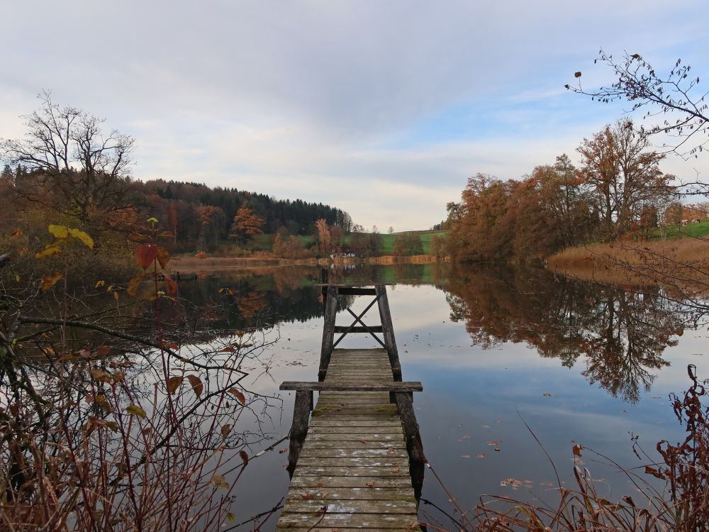 Steg am Horbacher Weier