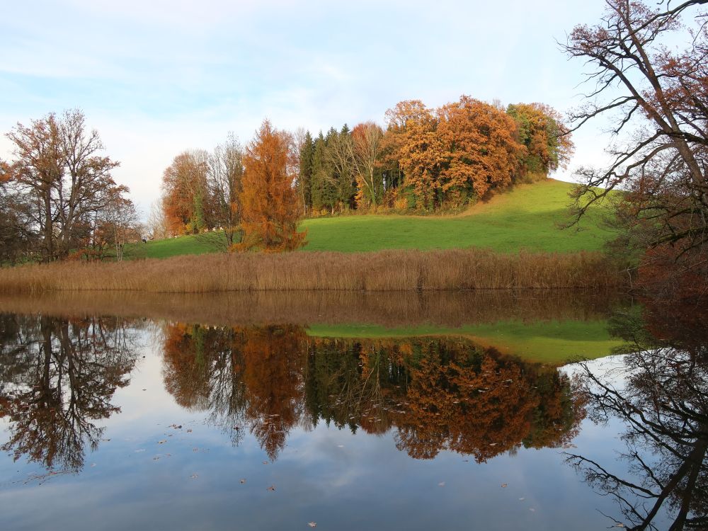 Spiegelung im Horbacher Weier
