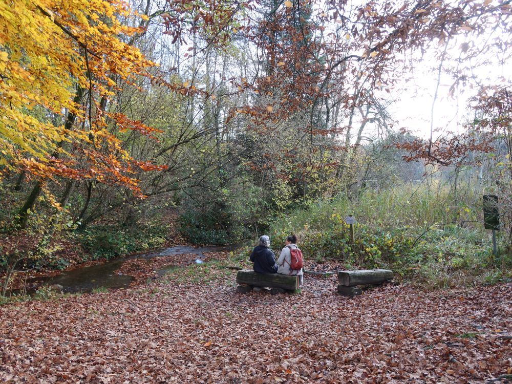 Feuerstelle im Herbstlaub