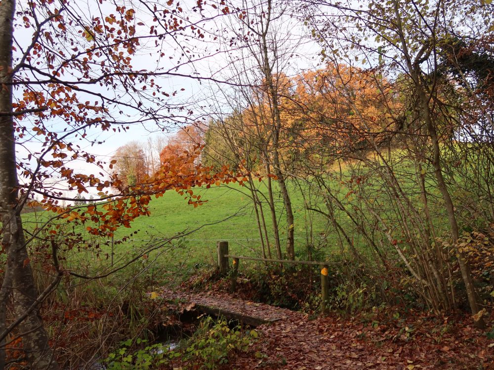 Steg übern Weierbach