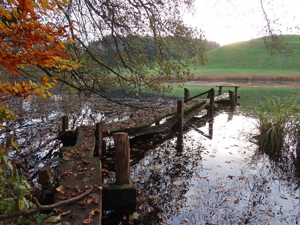 Steg am Horbacher Weier