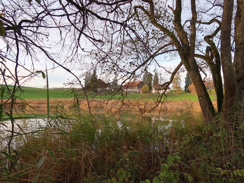 Blick Richtung Horbach