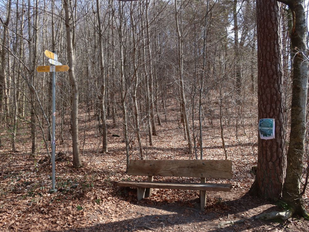 Sitzbank am Wendeplatz