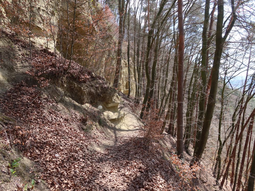 Bergpfad