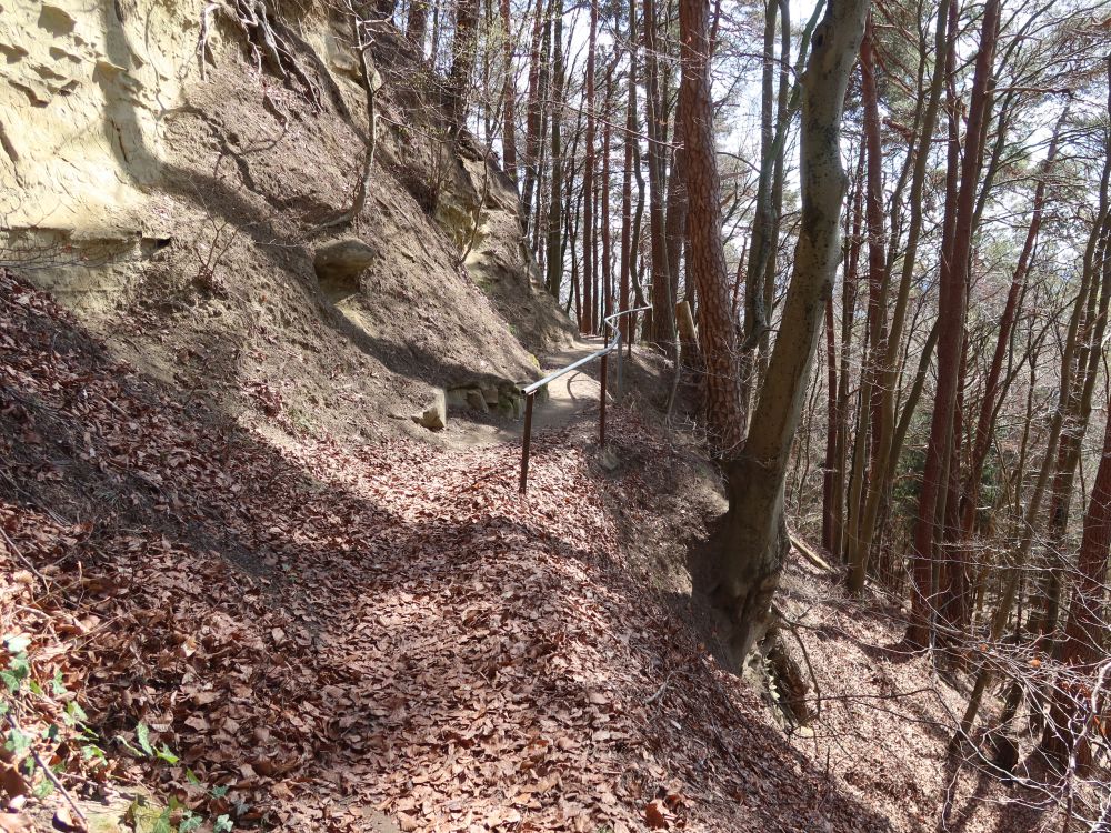 Bergpfad
