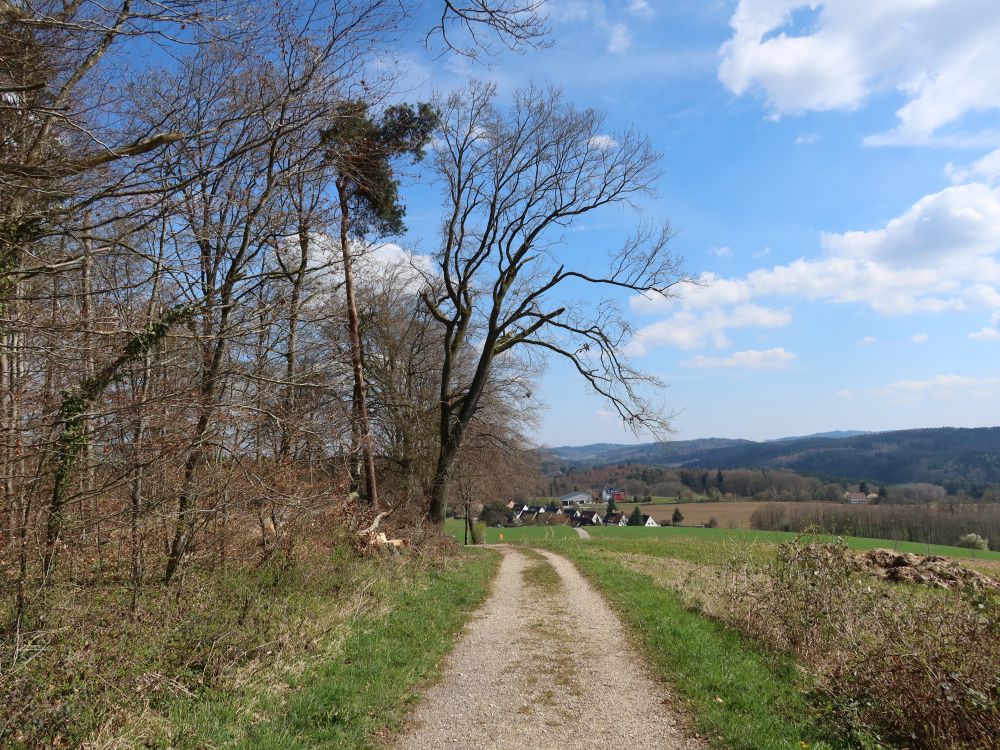 Blick Richtung Berlinger Siedlung
