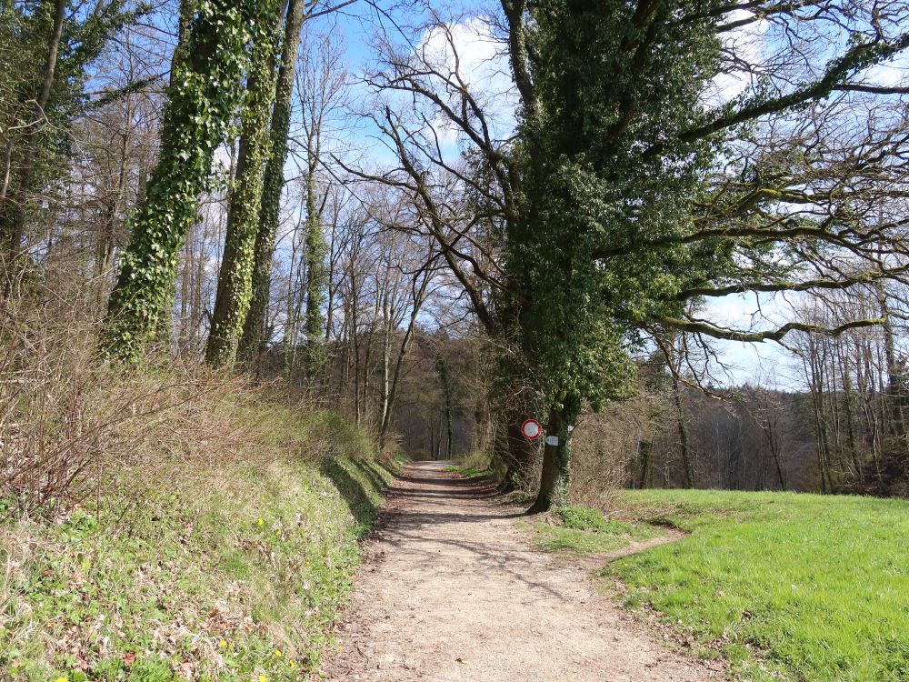 Abzweig 1000 Quellenweg