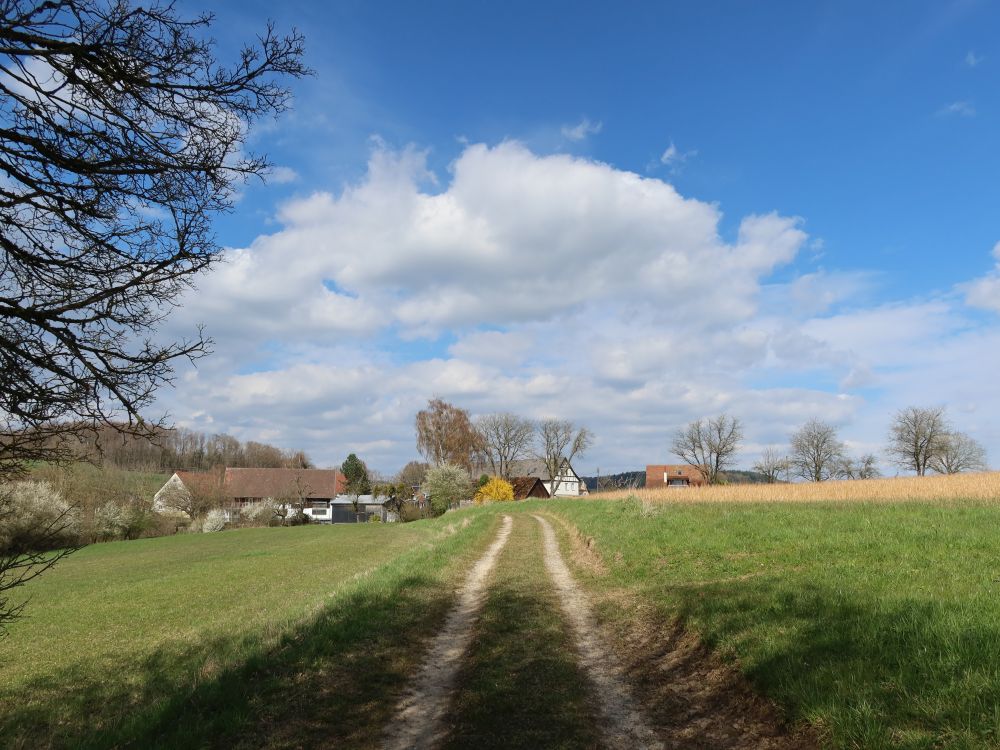 Blick Richtung Hengelau
