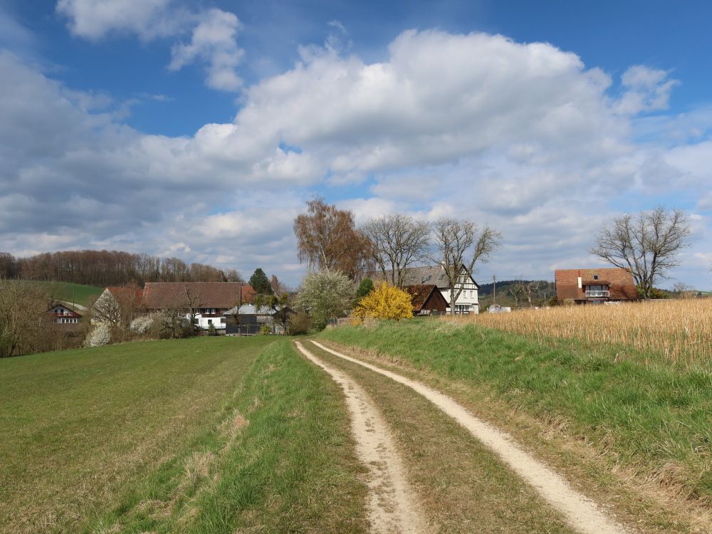 Weg nach Hengelau