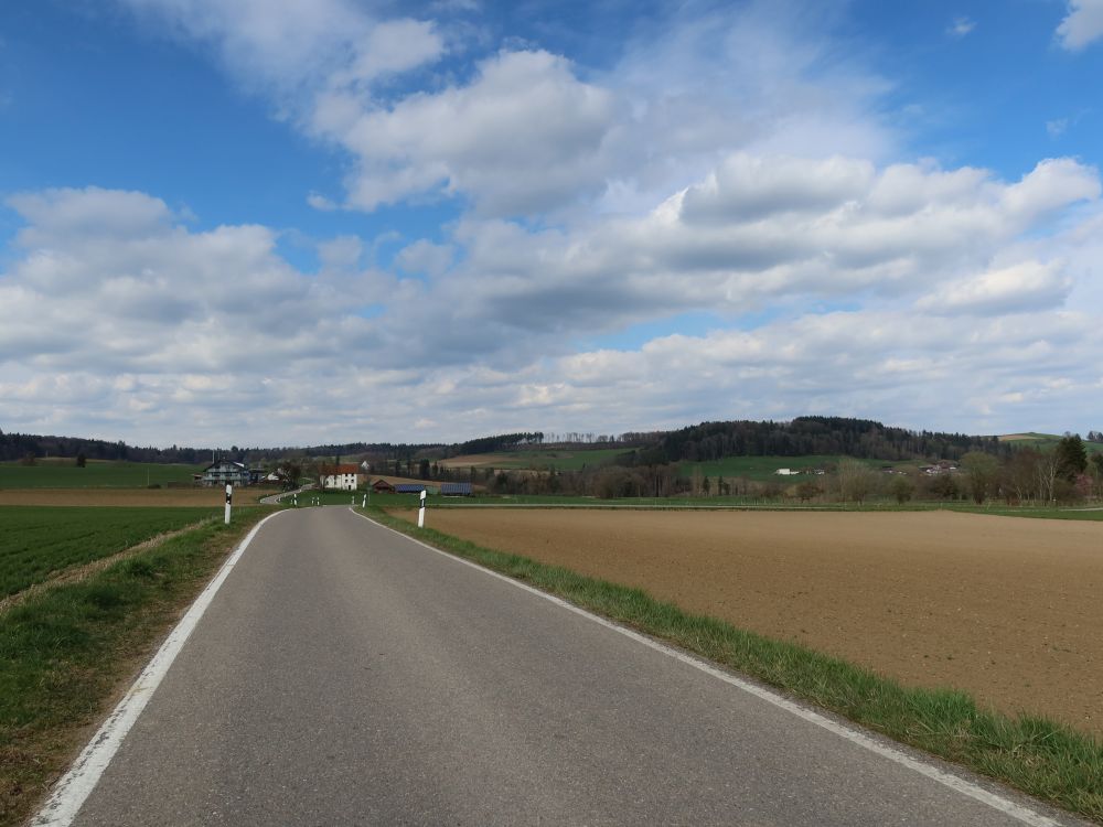 Strässchen nach Im Moos