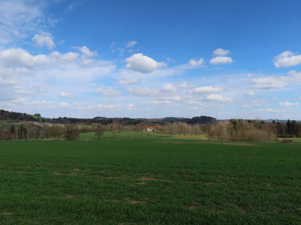 Blick Richtung Malzereute