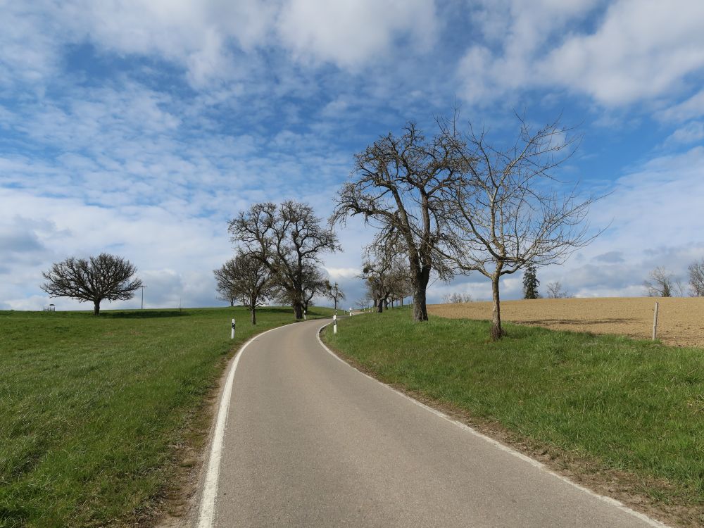 Strässchen Im Moos - Ursaul