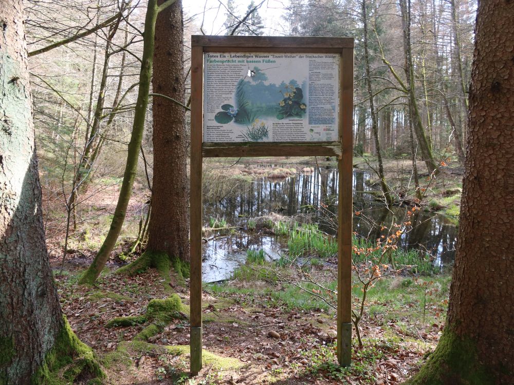Infotafel und Weiher
