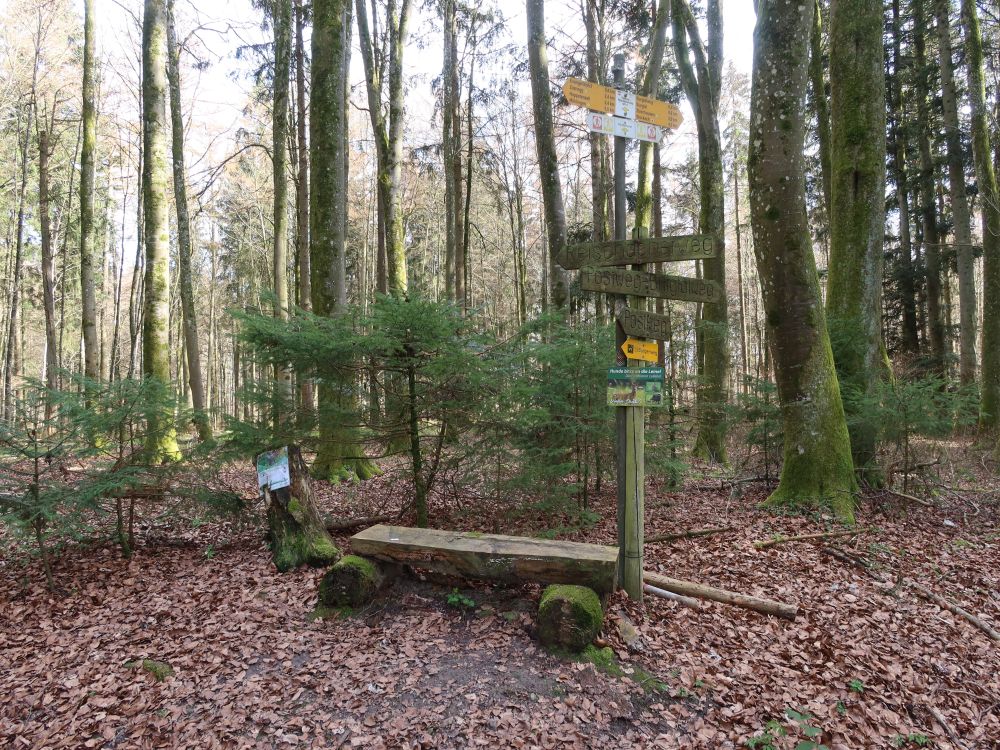 Sitzbank und Wanderwegweiser