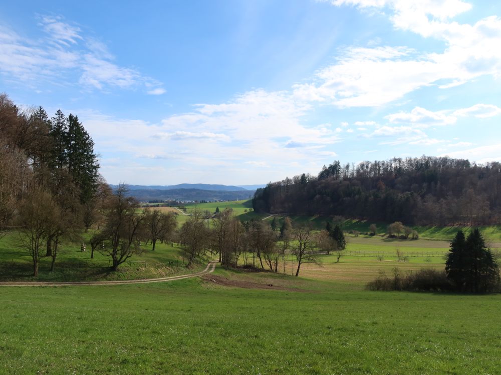 Blick Richtung Burgtal