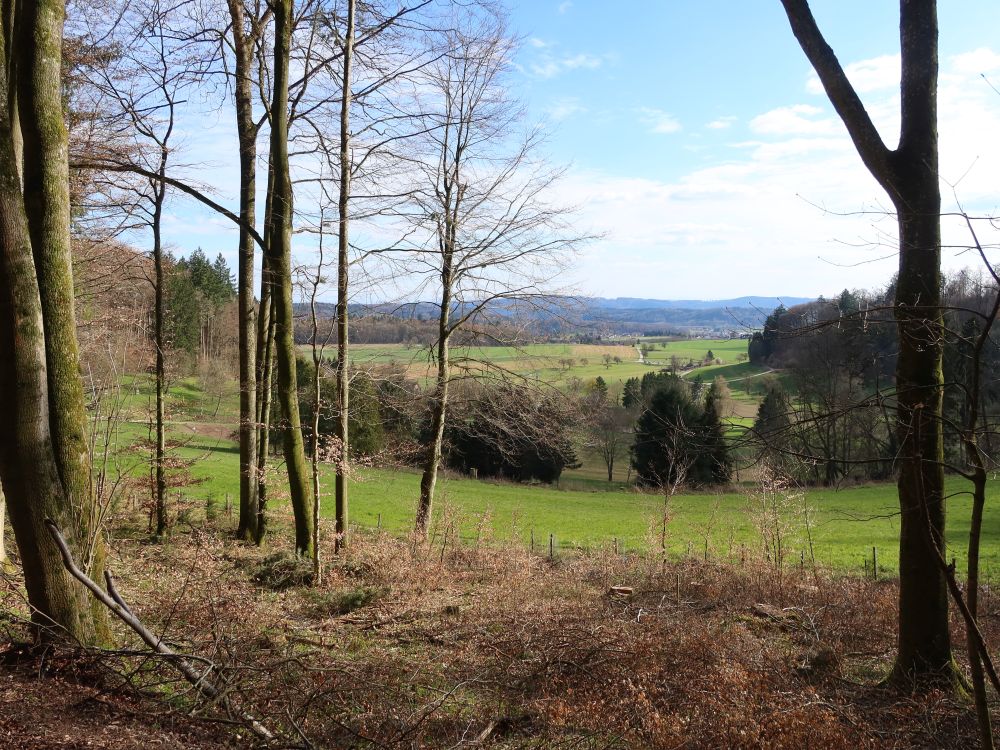 Blick Richtung Burgtal