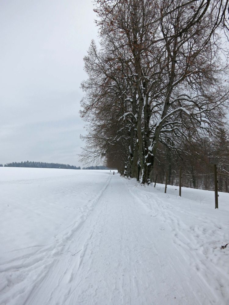 Winterweg am Nagelstein