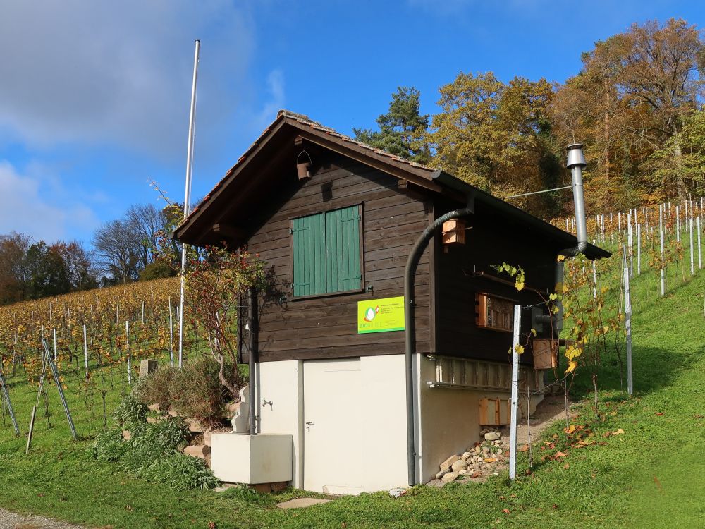 Weinberg-Hütte