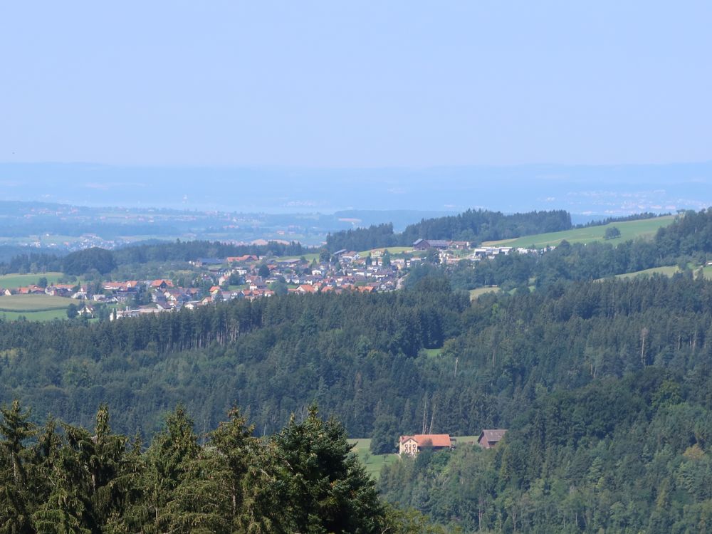 Blick Richtung Bodensee