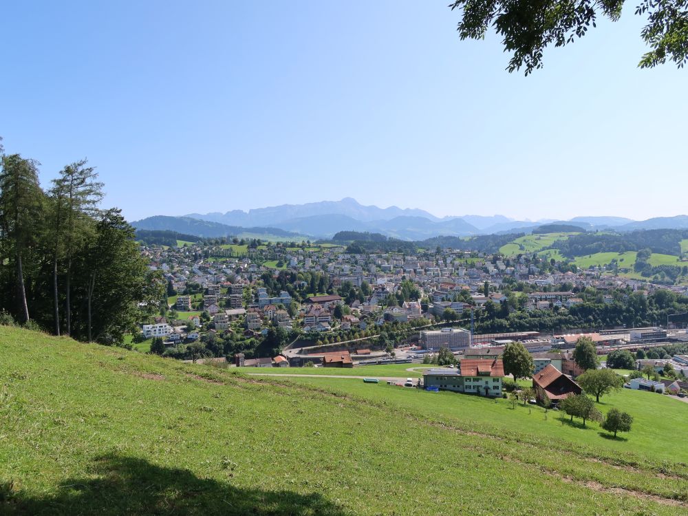 Herisau mit Säntis