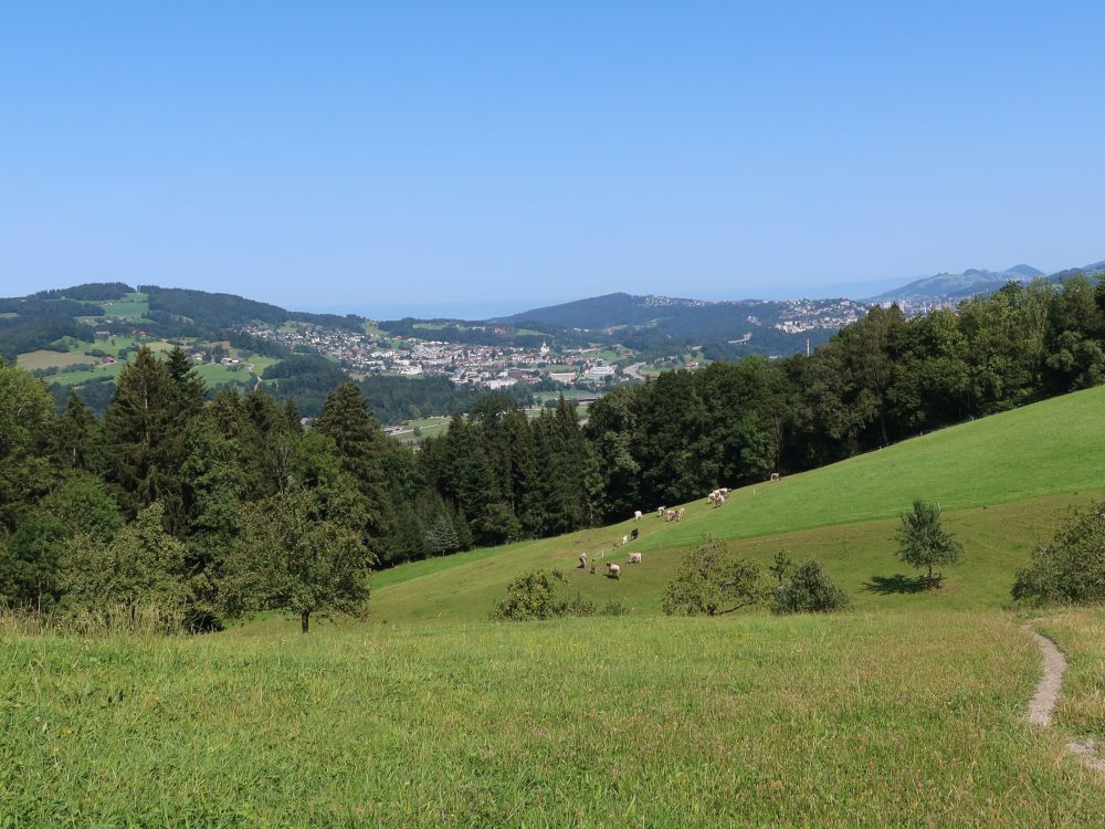 Blick Richtung Gaiserwald