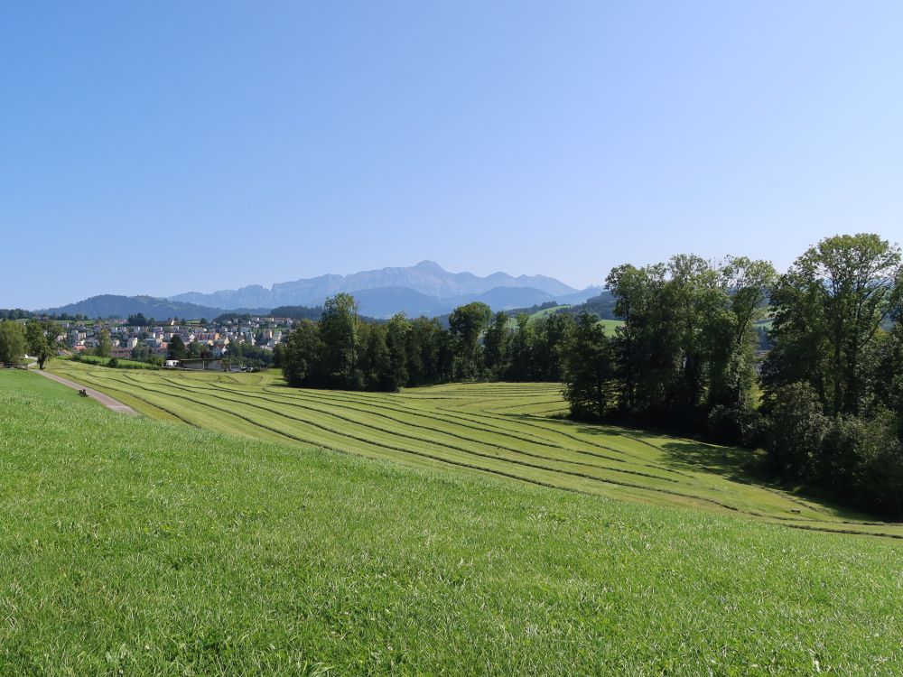 Blick Richtung Säntis