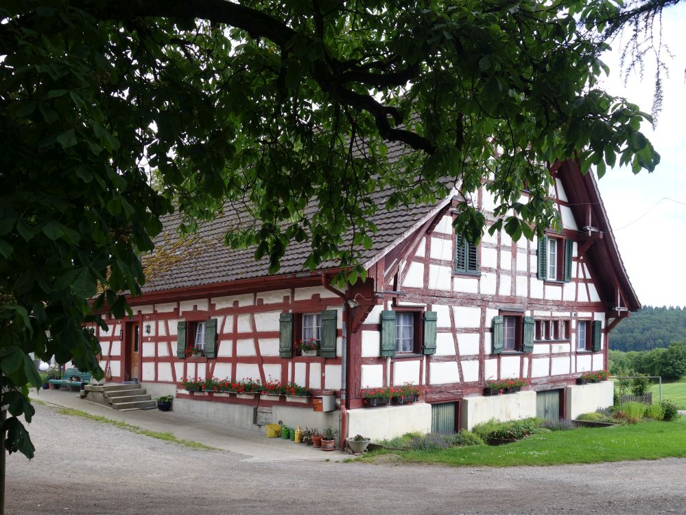 Bauernhof Oberwald