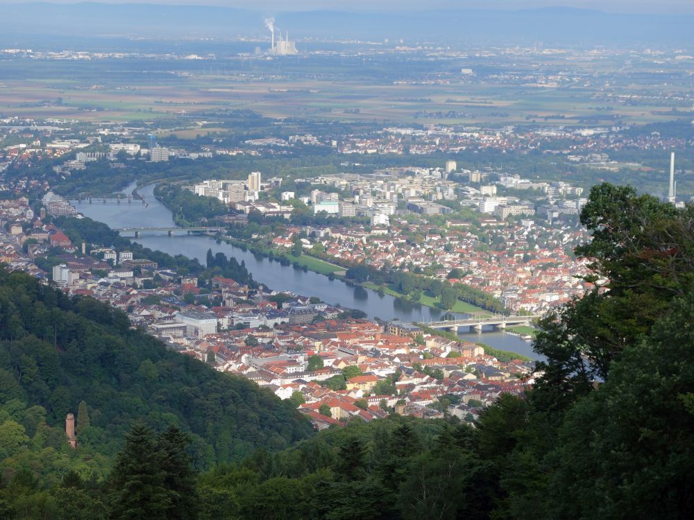 Heidelberg und Neckar