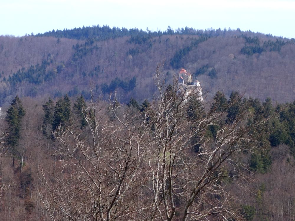 Blick vom Turm Richtung Schloss Bronnen