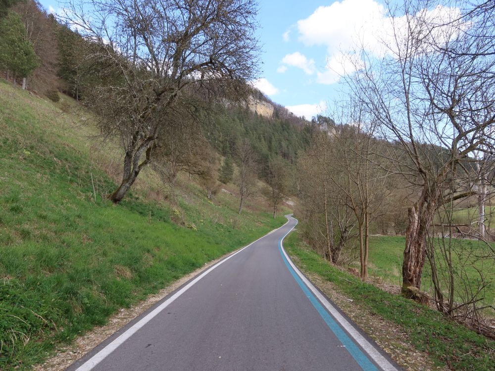 Donauradweg bei Mühlheim