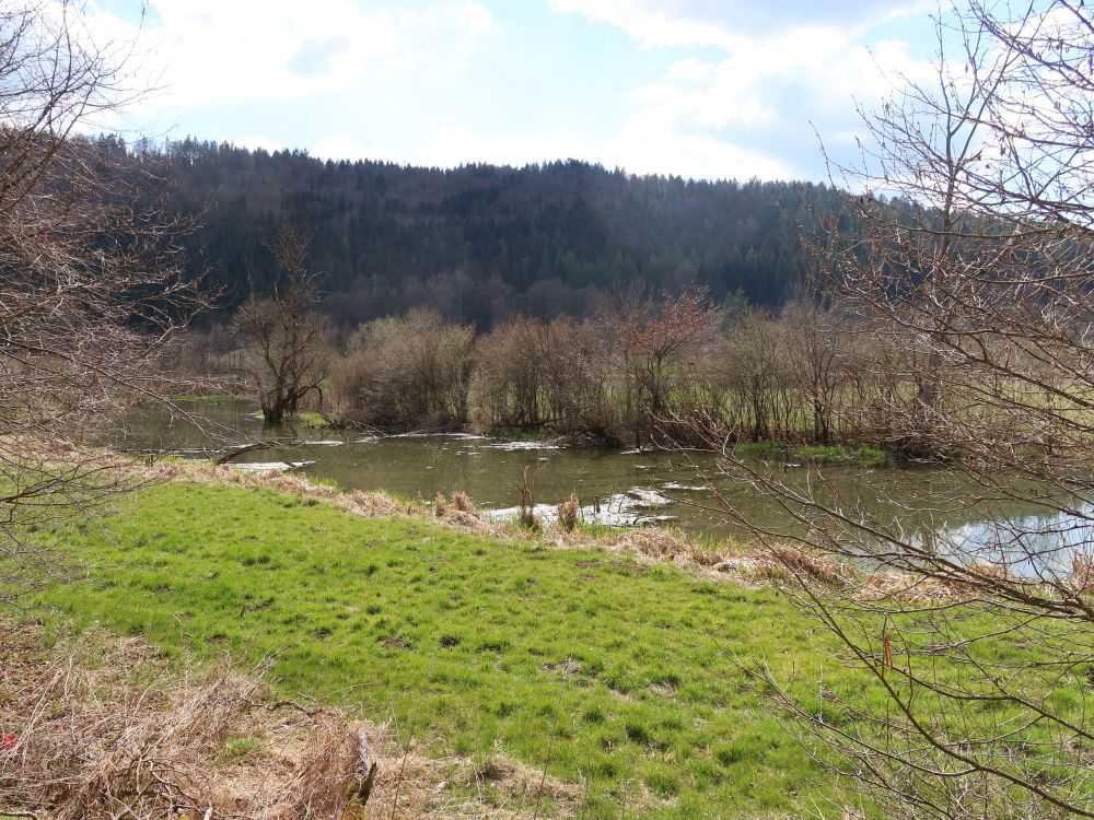 Wulfbachauen