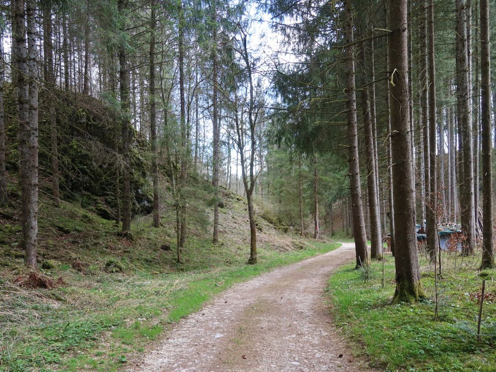 Waldweg