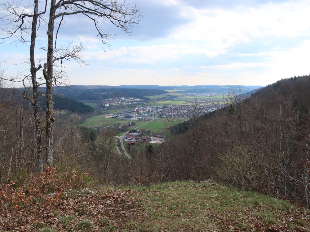 Blick Richtung Mühlheim