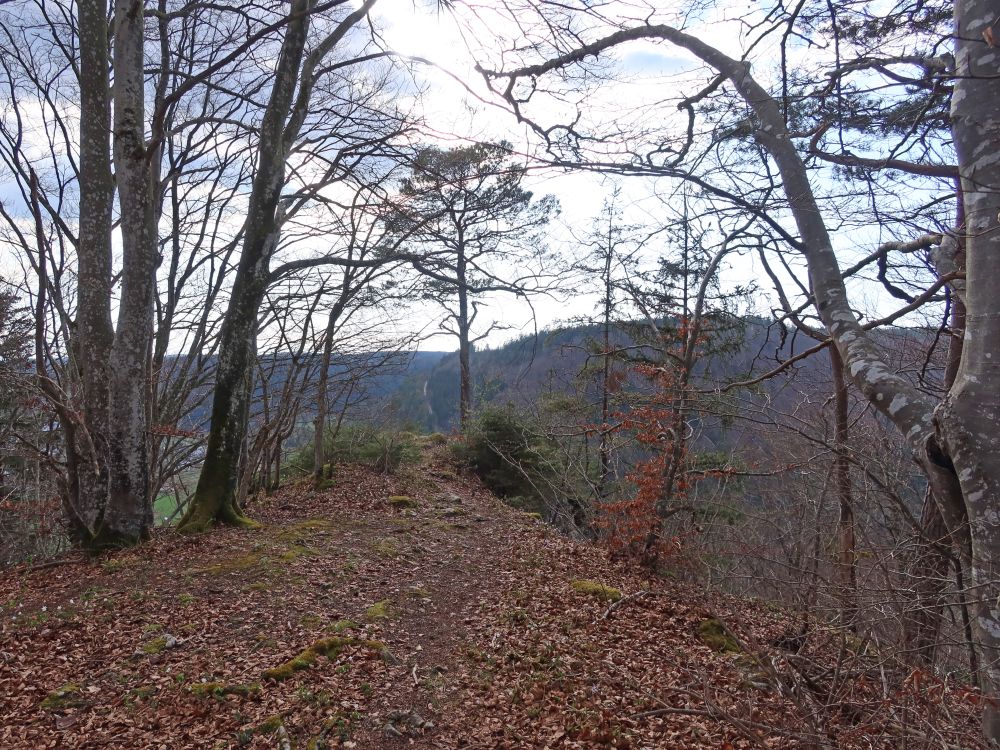 Aussichtspunkt