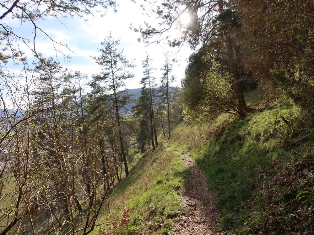 Pfad am Berghang