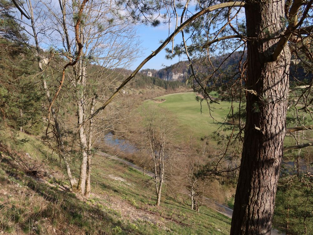 Wulfbachauen und Felswände